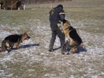 varia-od-hradu-drahotuch-003.jpg